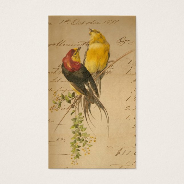 Vintage Birds and Ledger Papper Visitkort (Framsidan)