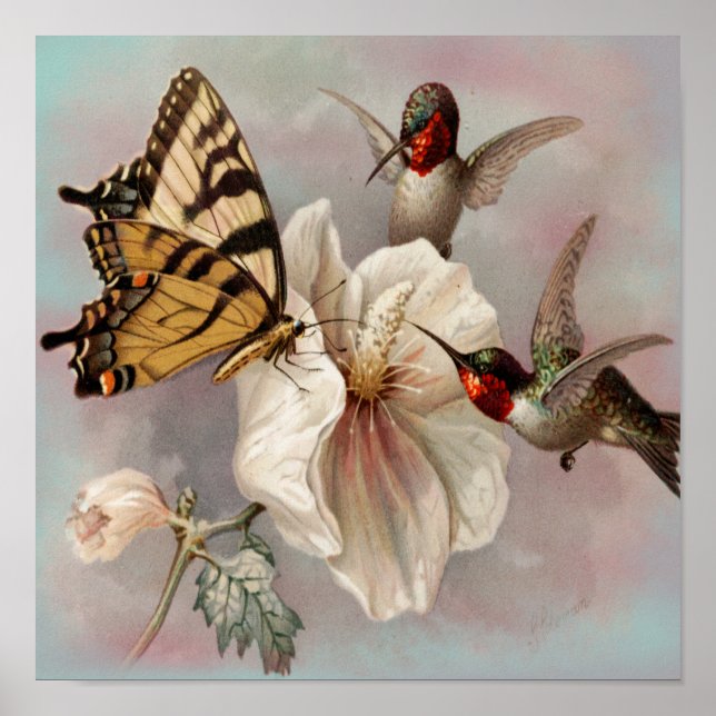 Vintage Birds & Butterfly Sharing a Meal Poster (Framsidan)