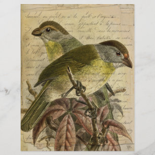 Vintage Birds Ephemera Scrapbook Papper