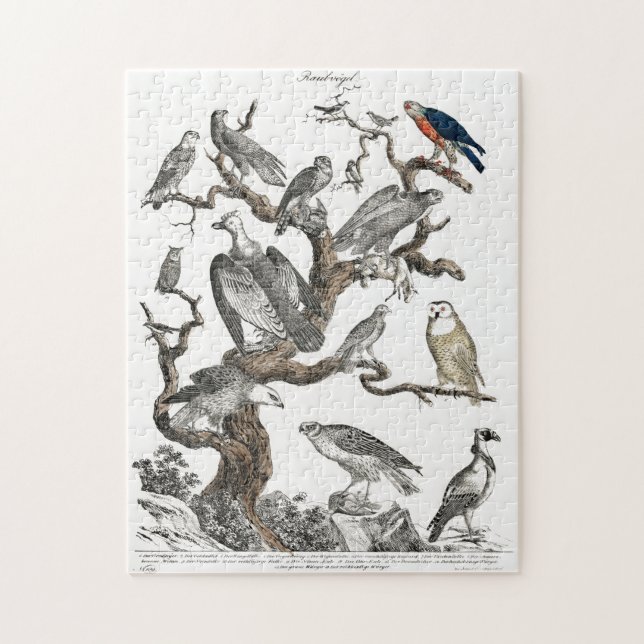 Vintage Birds Gamla Bok Illustration Art Pussel (Vertikal)