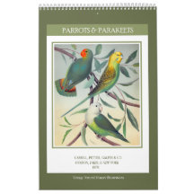 Vintage Birds - Papegojor och parakiter 2027