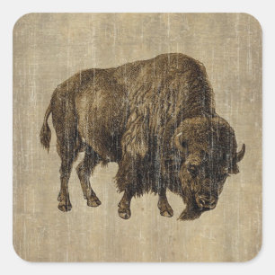 Vintage Bison Fyrkantigt Klistermärke