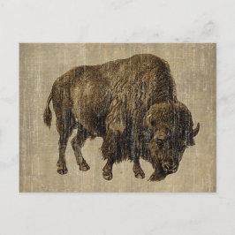 Vintage Bison Vykort