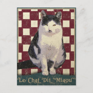 Vintage Bistro Cat Vykort