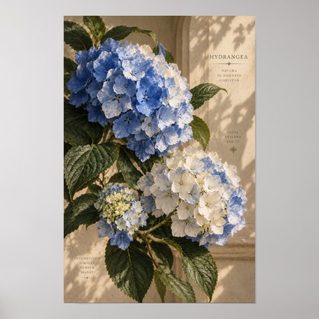 Vintage Blå Hortensia Blommig Väggkonst (Framsidan)