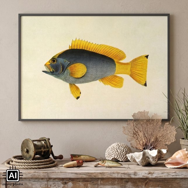 Vintage blå och gul grouperfisk, marint liv poster (Vintage illustration marine life design featuring a blue and yellow grouper saltwater fish. )
