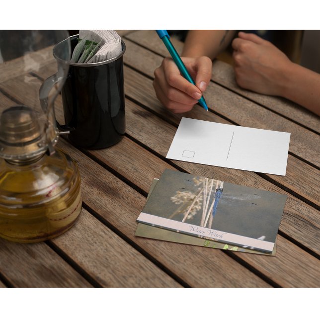 Vintage Blå Trollslända Anpassad Botanisk Notis Vykort (Skapare uppladdad)