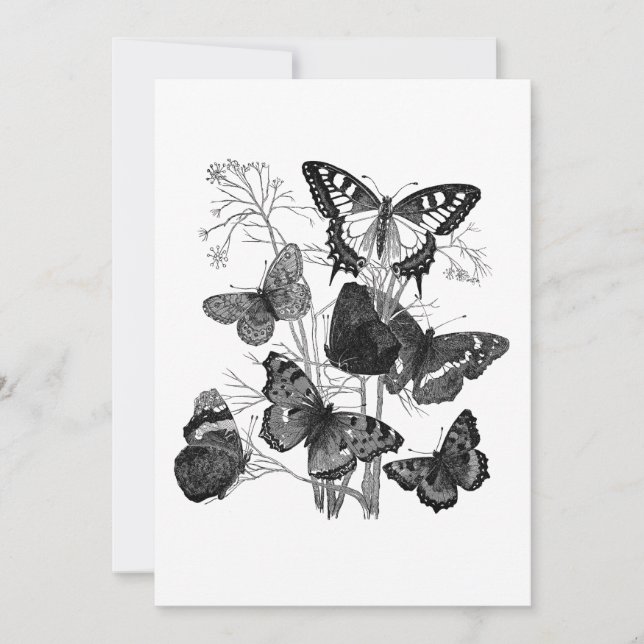 Vintage Black and White Butterflies Inbjudningar (Framsida)