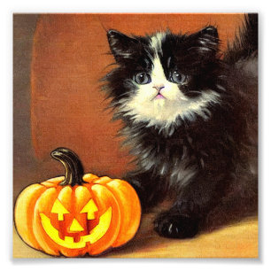 Vintage Black and White Halloween Kitten Fototryck