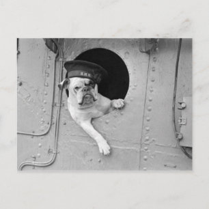 Vintage Black and White Military Bulldog Nautical Vykort