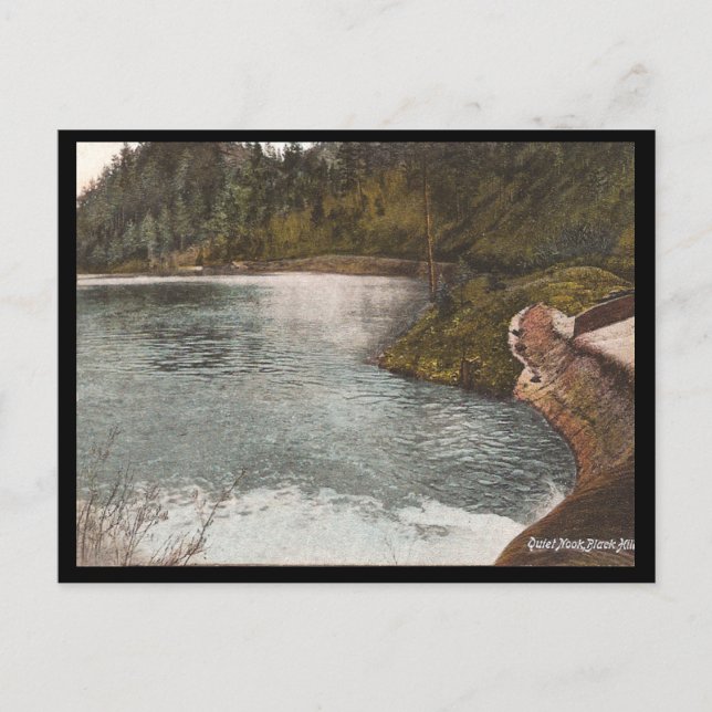 Vintage Black Backe Vykort (Framsida)