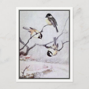 Vintage Black-Caps Chickadee - R. Bruce Horsfall Vykort