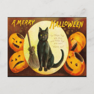 Vintage Black Cat Bloody Text Halloween fest Invi Inbjudan Vykort