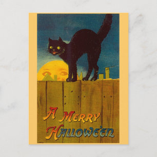Vintage Black Cat Halloween Vykort