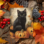 Vintage Black Cat Pumpkin Decoupage Vykort<br><div class="desc">Den här designen kan vara personlig om du väljer Redigera design. Du kan också överföra till andra objekt. Kontakta mig på colorflowcreations@gmail.com eller använda alternativet chatta överst på sidan om du vill ha den här designen på en annan produkt eller behöver hjälp. Se mer av mina design eller följ mig...</div>