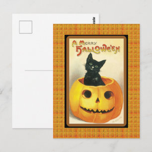 Vintage Black Cat Pumpkin Halloween-vykort Vykort