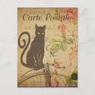 Vintage Black Cat. Vykort