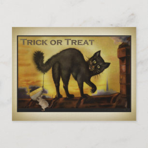 Vintage Black Cat-vykort Vykort