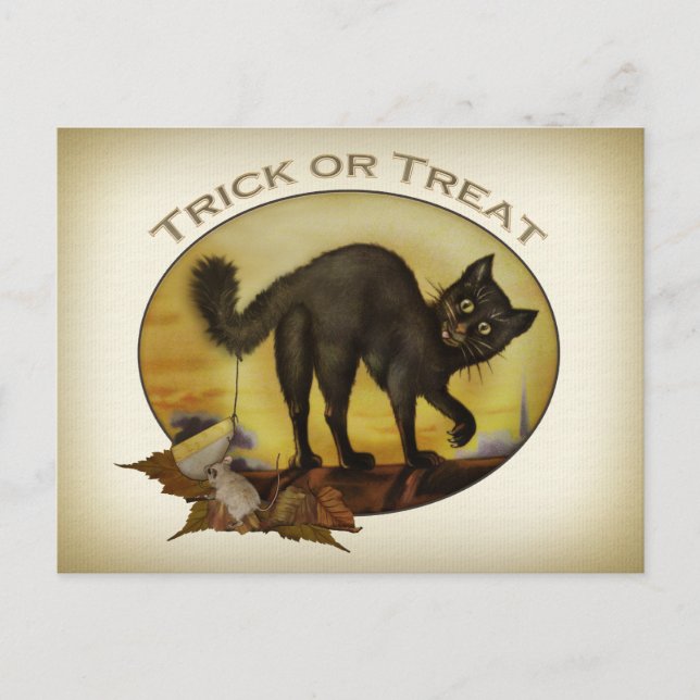 Vintage Black Cat-vykort Vykort (Framsida)