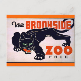 Vintage Black Panther-vykort Vykort