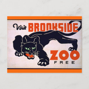Vintage Black Panther-vykort Vykort