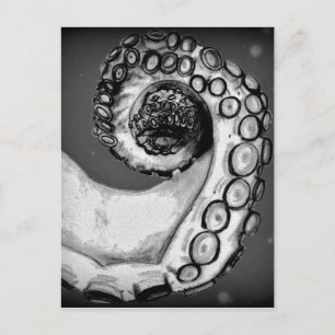 Vintage Black & White Nautical Octopus Tentacle Vykort