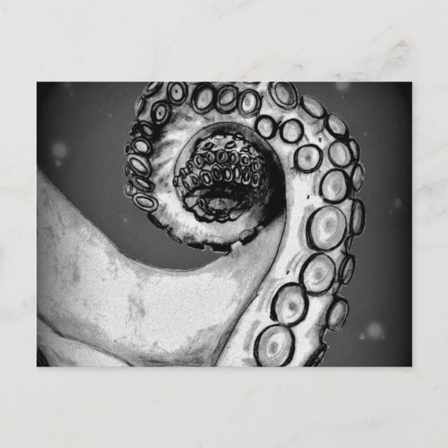 Vintage Black & White Nautical Octopus Tentacle Vykort (Framsida)