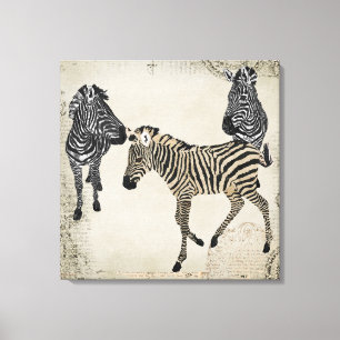 Vintage Black & White Zebra Trio Canvastryck