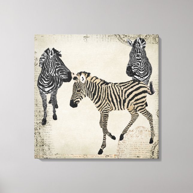 Vintage Black & White Zebra Trio Canvastryck (Framsida)