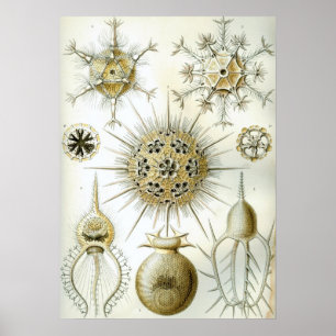 Vintage - bläckbild poster