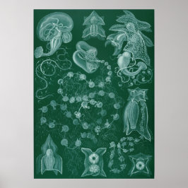 Vintage - bläckbild poster