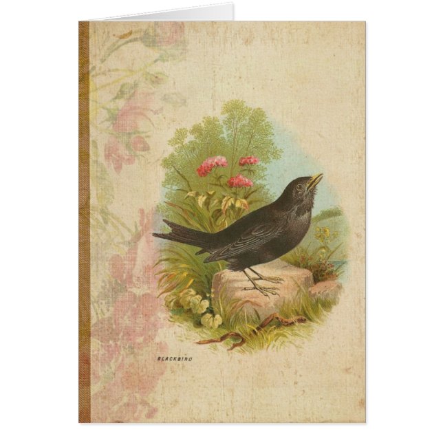 Vintage Blackbird Hälsningskort (Framsidan)