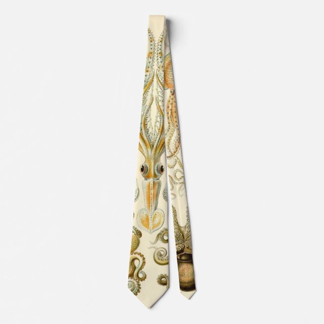 Vintage bläckfisk Gamochonia av Ernst Haeckel Slips (Framsida)