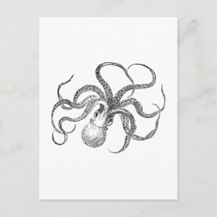 Vintage, bläckfiskmall vykort