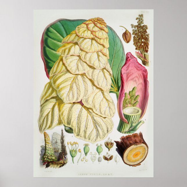 Vintage - bläddringsbild poster (Framsidan)