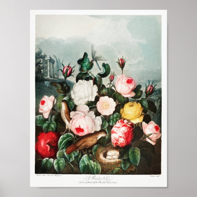 Vintage - bläddringsbild poster (Framsidan)