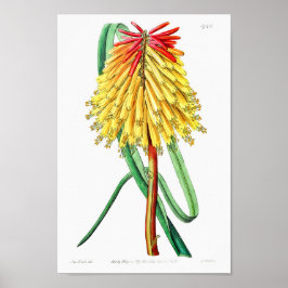 Vintage - bläddringsbild poster