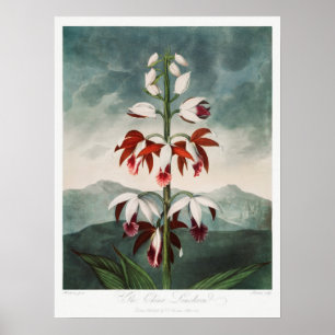 Vintage - bläddringsbild poster