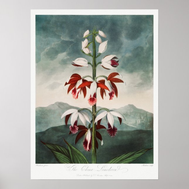 Vintage - bläddringsbild poster (Framsidan)