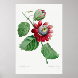 Vintage - bläddringsbild poster