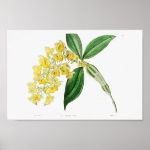 Vintage - bläddringsbild poster