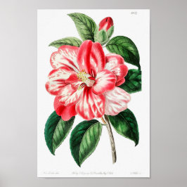 Vintage - bläddringsbild poster