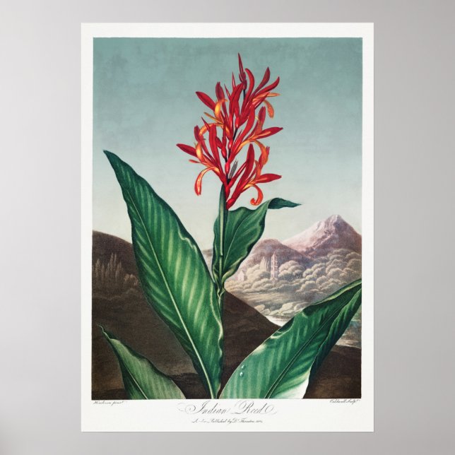Vintage - bläddringsbild poster (Framsidan)