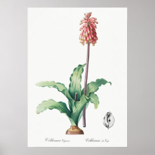 Vintage - bläddringsbild poster