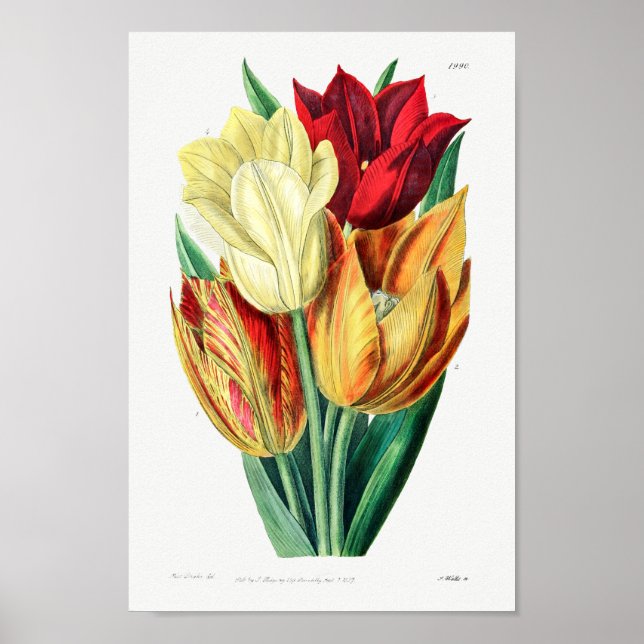 Vintage - bläddringsbild poster (Framsidan)
