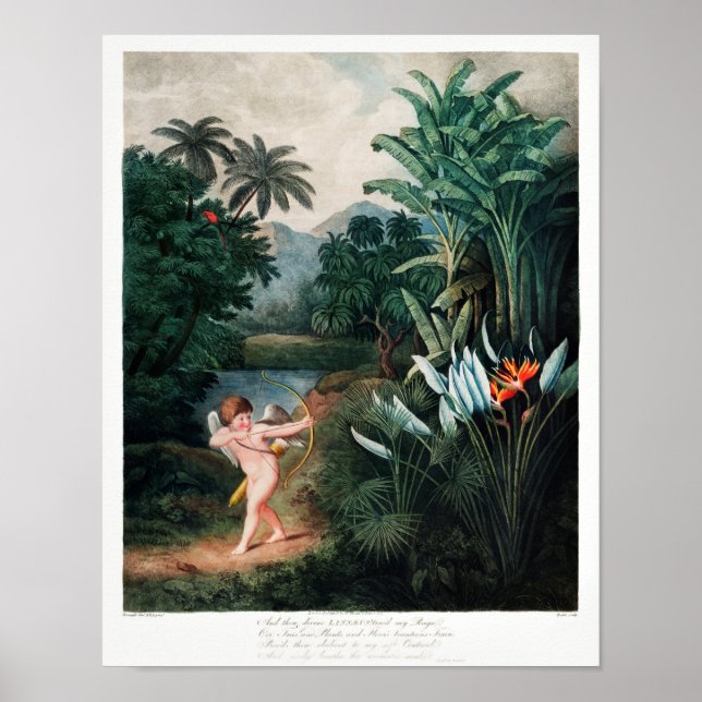 Vintage - bläddringsbild poster (Framsidan)