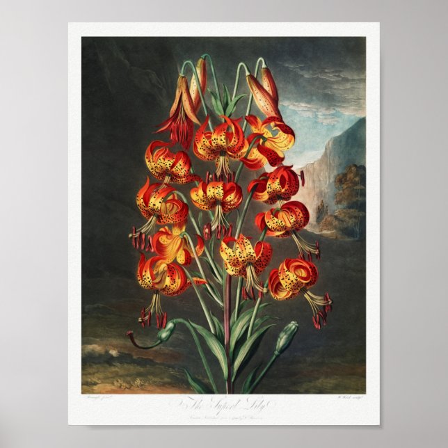 Vintage - bläddringsbild poster (Framsidan)