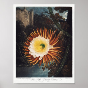 Vintage - bläddringsbild poster