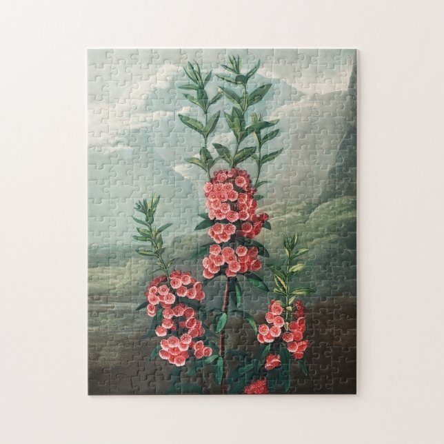 Vintage - bläddringsbild pussel (Vertikal)