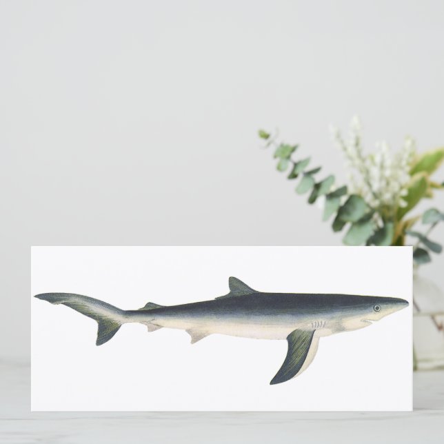 Vintage Blåhaj, marin livslängd i vattenlevande ha (Stående Fram)